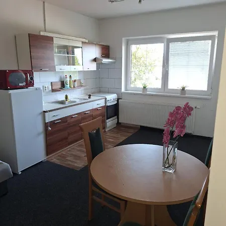 U Radka Apartment Chodov (Karlovy Vary)
